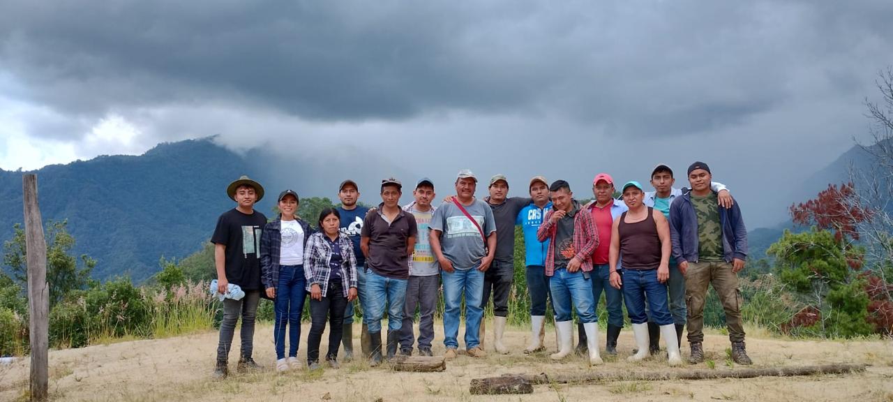 Mexico Coffee (Organic, Fairtrade)