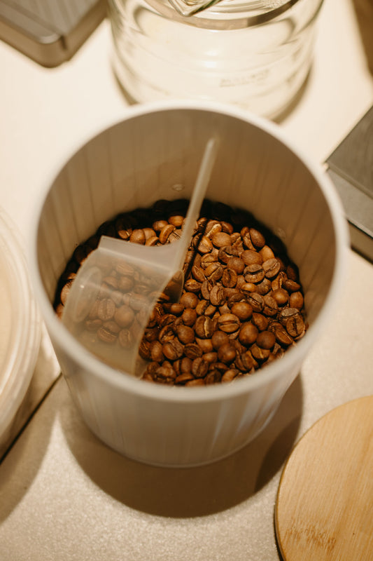 Are You Storing Coffee Beans Wrong? Try These Easy Fixes