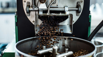 Columbian Coffee 101: Your Next Specialty Coffee Taste-Test