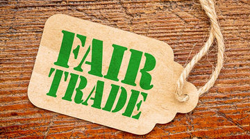 Fair Trade & Social Justice Networking Event!