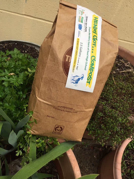 Partnership in Bloom at the Flower Show!