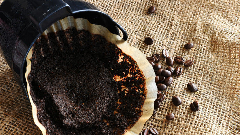 Ground coffee in filter