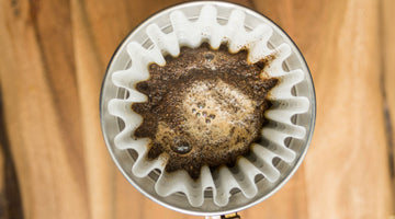 Coffee and Digestion: Does It Help or Hurt Your Gut?