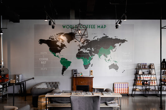 Where Does Coffee Beans Come From? Complete Coffee Guide
