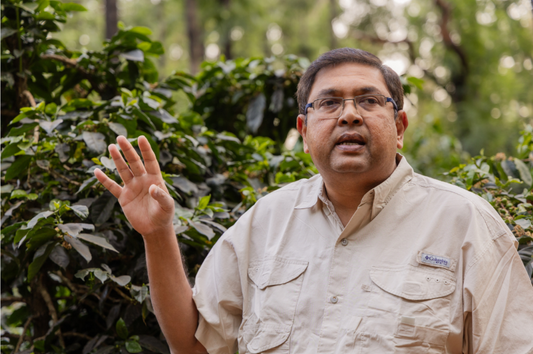 India Ratnagiri Estate – Chikmagalur