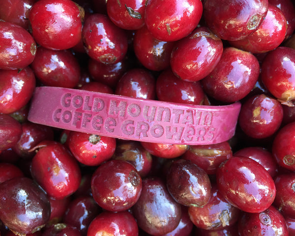 Baklava Mango - (Limited Time Roast)