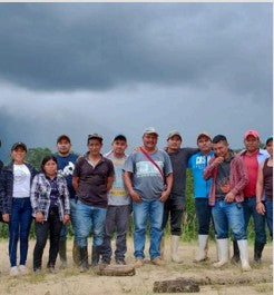 Mexico Coffee (Organic, Fairtrade)