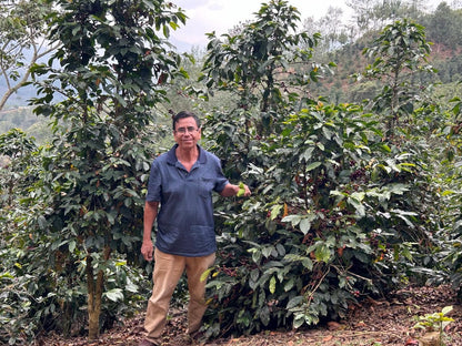 Peru Coffee (Organic, Fairtrade, Dark Roast)