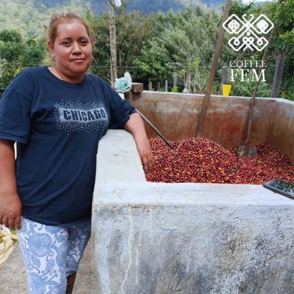 Mexico Coffee (Organic, Fairtrade)