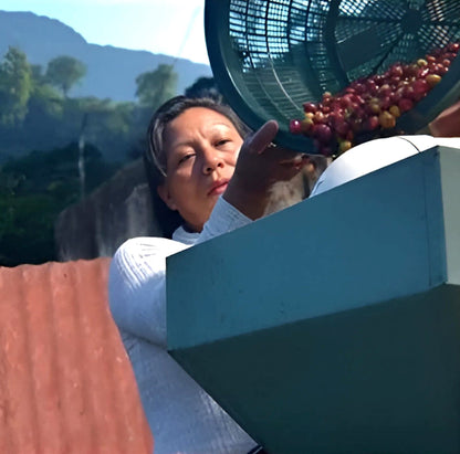 Mexico Coffee (Organic, Fairtrade)